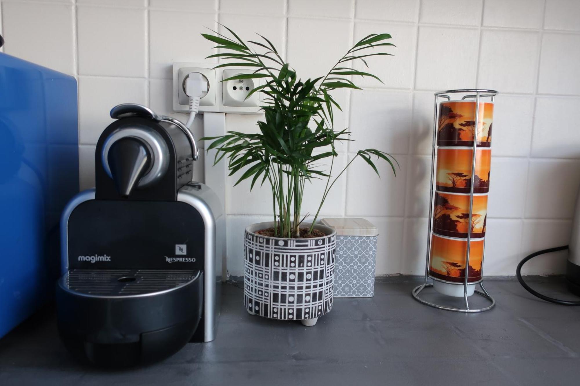 Appartement Avec Jardin Au Coeur De Rennes Exteriér fotografie